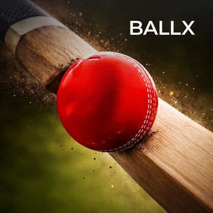 Cricket Ball Bluetooth Speaker | 5W Portable Speaker for Cricket Fans | Assorted Colour | M&G